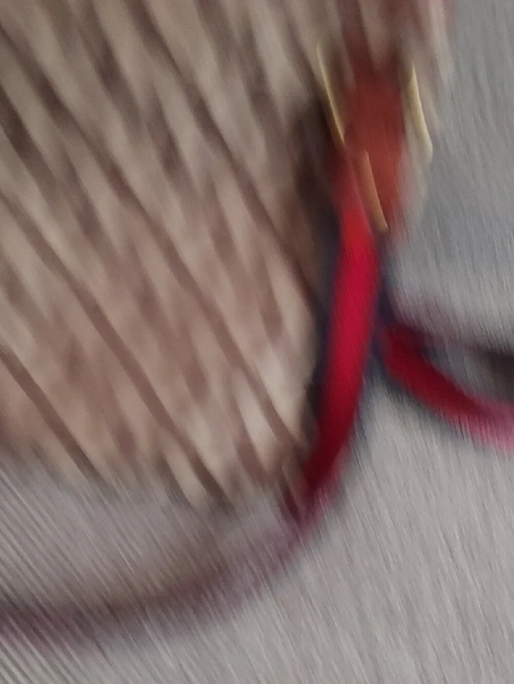 Michael Kors Brown Signature MK Crossbody with Red-Blue Stripe Strap